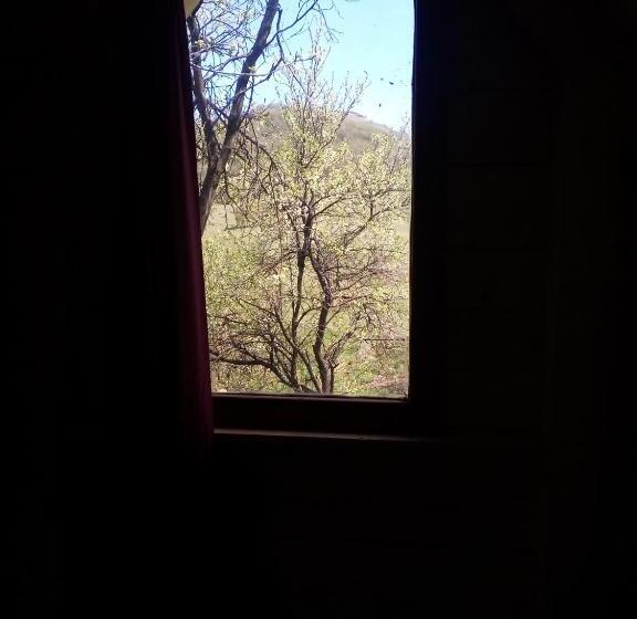 پانسیون Bungalows Old Town