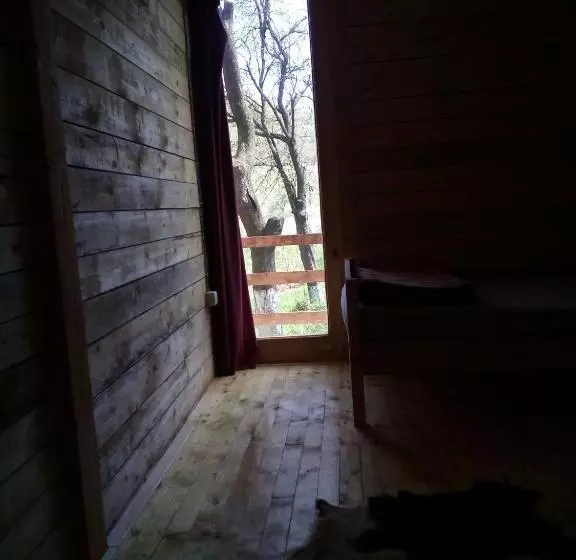 پانسیون Bungalows Old Town