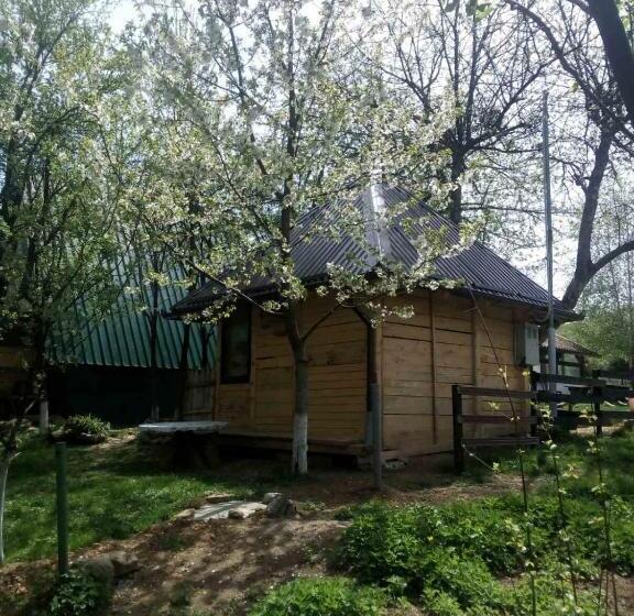 پانسیون Bungalows Old Town