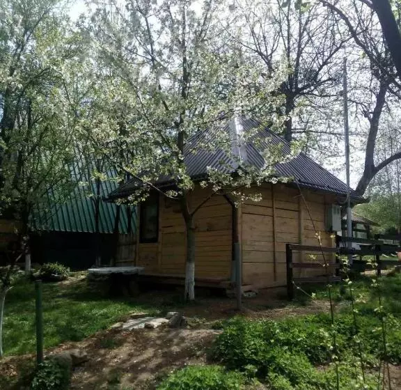 پانسیون Bungalows Old Town