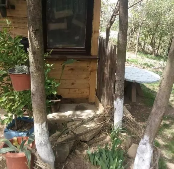 پانسیون Bungalows Old Town