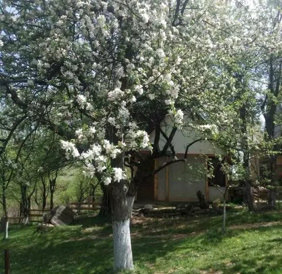 پانسیون Bungalows Old Town