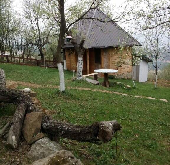 پانسیون Bungalows Old Town