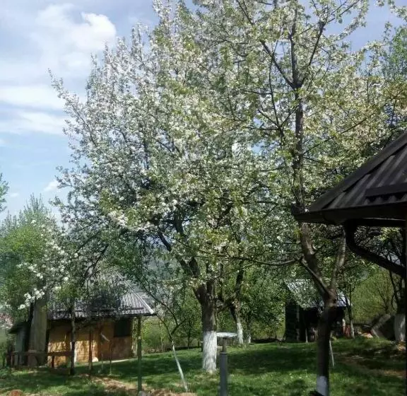 پانسیون Bungalows Old Town