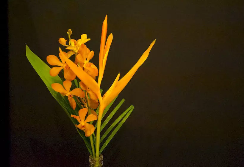 Albergue Me Mate's Place