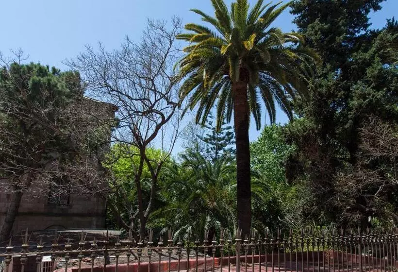 Хостел Ecozentric