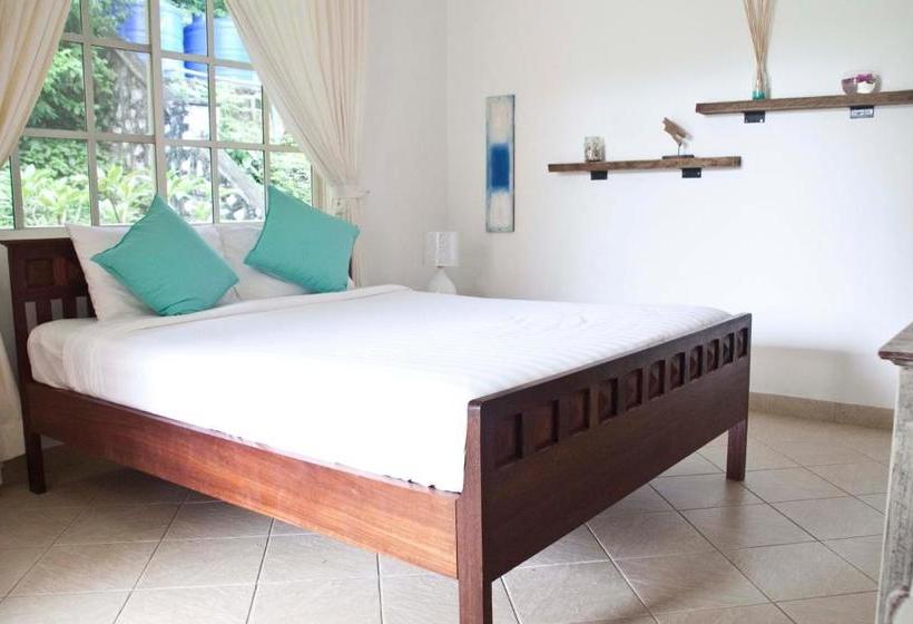 فندق The Beach House