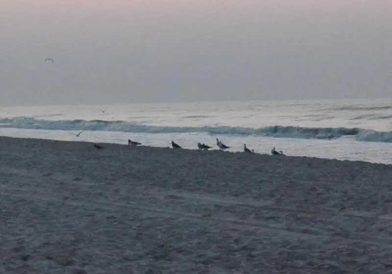 Salalah Beach Resort Villas