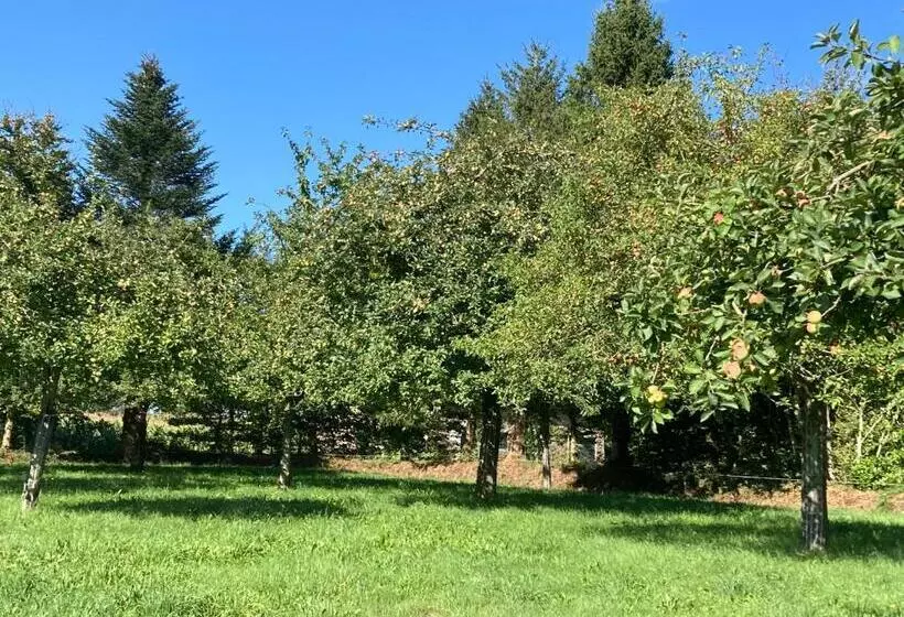 Aamiaismajoitus (B&B) « le Petit Verger »