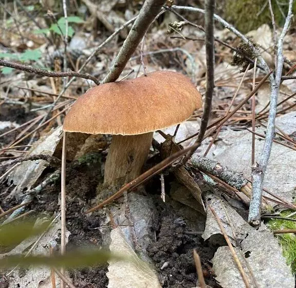 Aamiaismajoitus (B&B) Maison Maleville