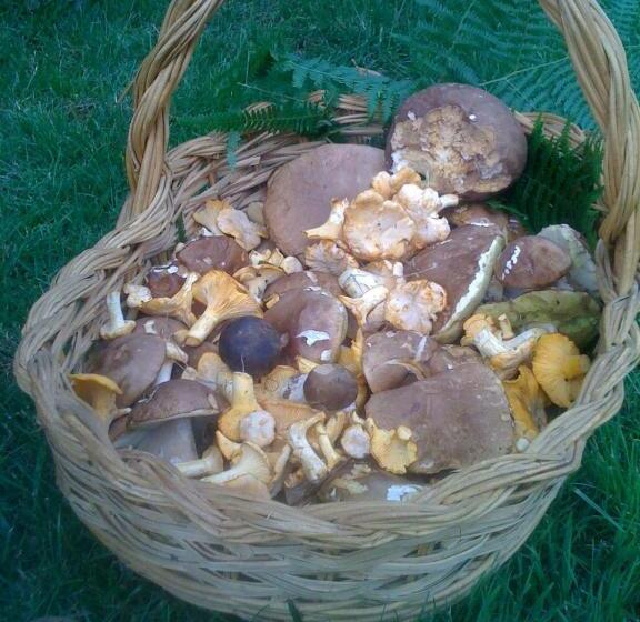 住宿加早餐  Maison Maleville