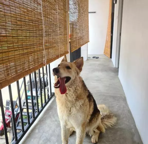 Retkeilymaja Dip N Doze