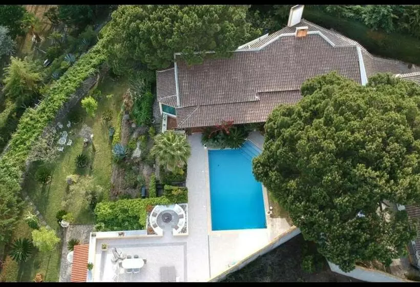 Majatalo Mille Et Une Nuits  La Vénus De Lisbonne