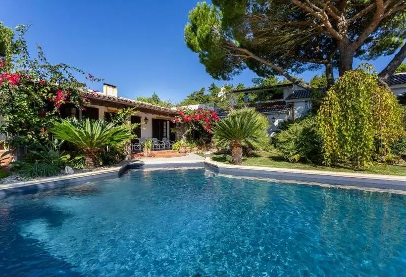 Majatalo Mille Et Une Nuits  La Vénus De Lisbonne