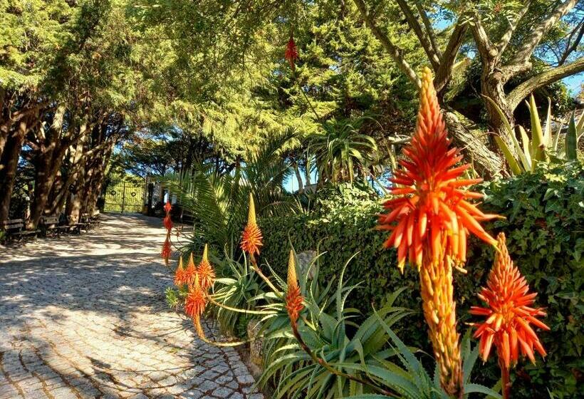ペンション Mille Et Une Nuits  La Vénus De Lisbonne