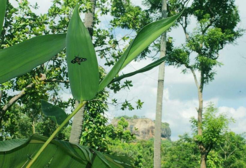 펜션 Sigiriya Like Lodge