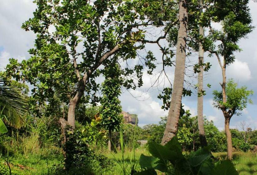 펜션 Sigiriya Like Lodge