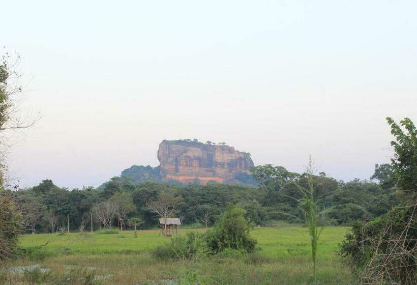 펜션 Sigiriya Like Lodge