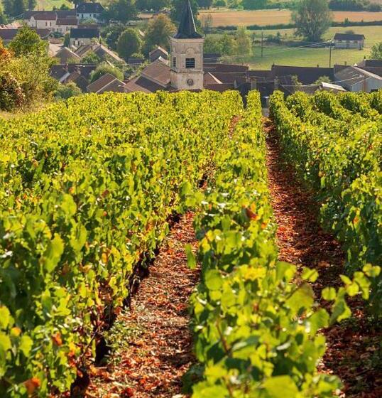 ペンション Le Nid Bourguignon