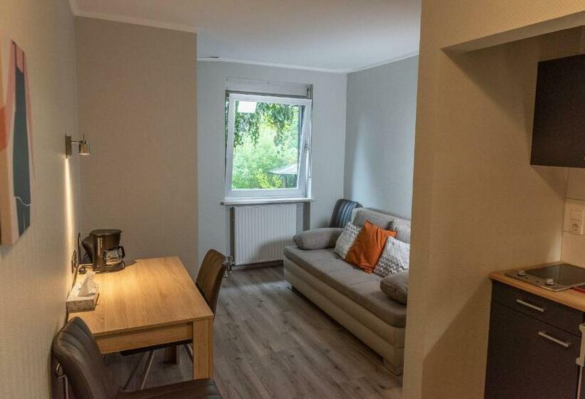 Boarding House Repetal