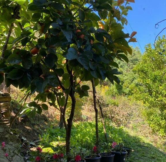 Szálloda Keeduk Inn