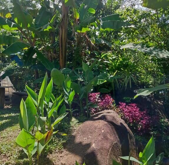 پانسیون Suites Casa Do Indio Jungle, A Melhor Vista Da Floresta