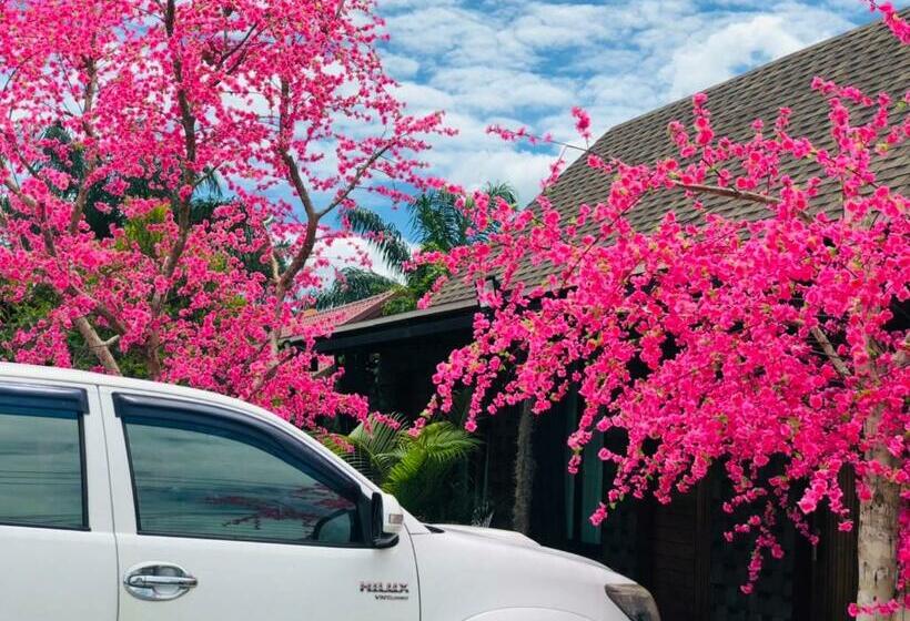 Bed and Breakfast Kob Suk Resort K7 , K10