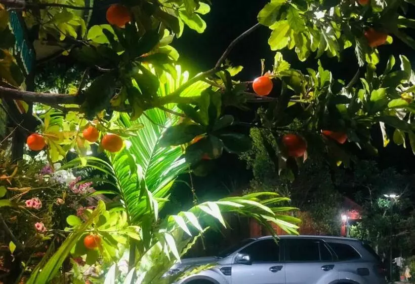 Aamiaismajoitus (B&B) Kob Suk Resort K7 , K10