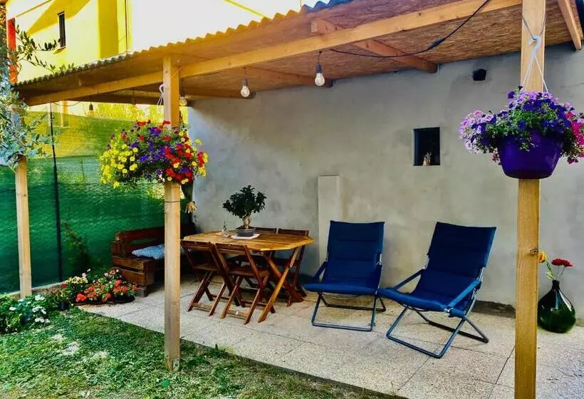 پانسیون Bonsai   Bed & Breakfast