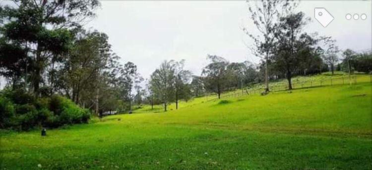 פנסיון Cool Breeze Guest Inn