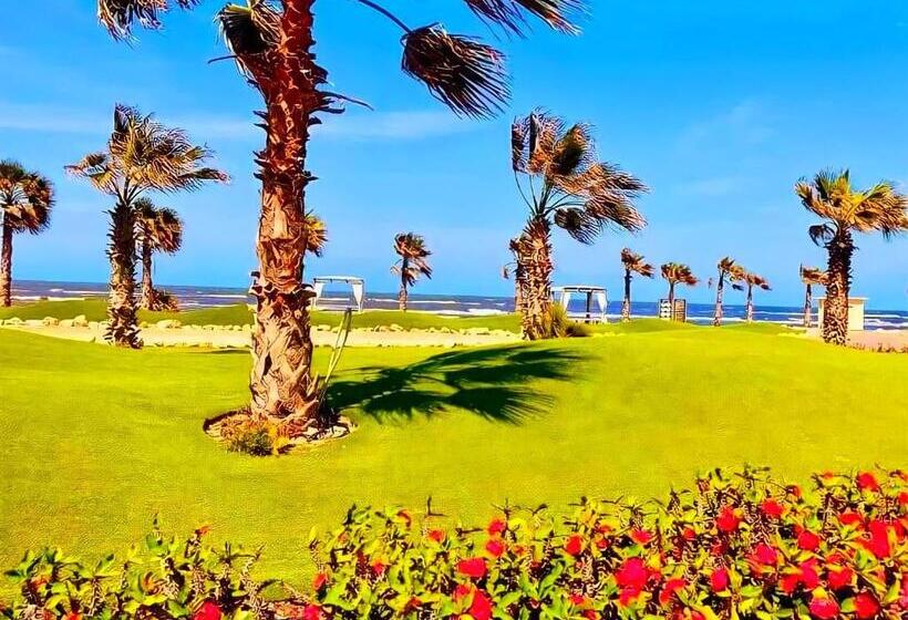 Porto Said شاليه ملكى صف اول بحر بورتو سعيد