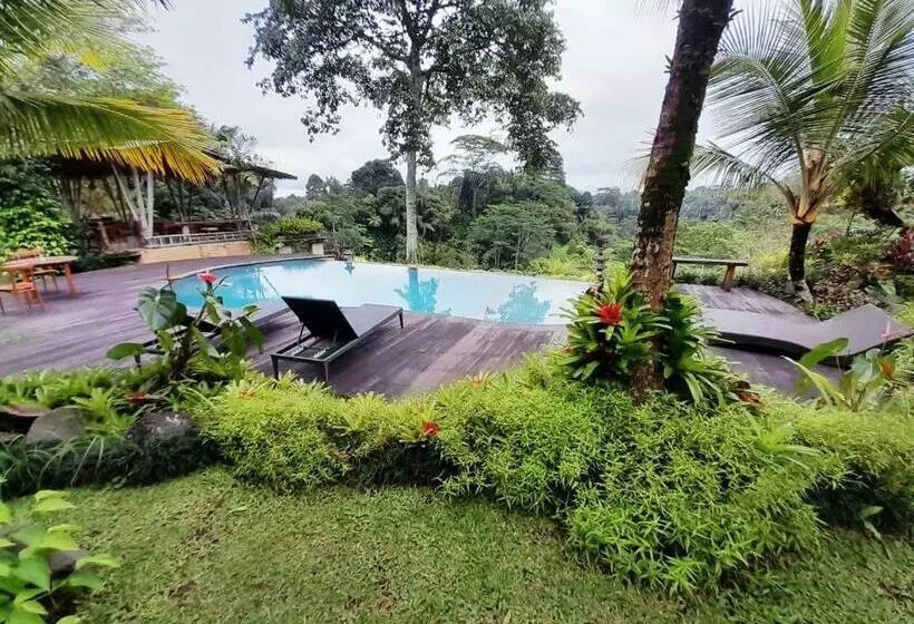 Aamiaismajoitus (B&B) Moringga Ubud
