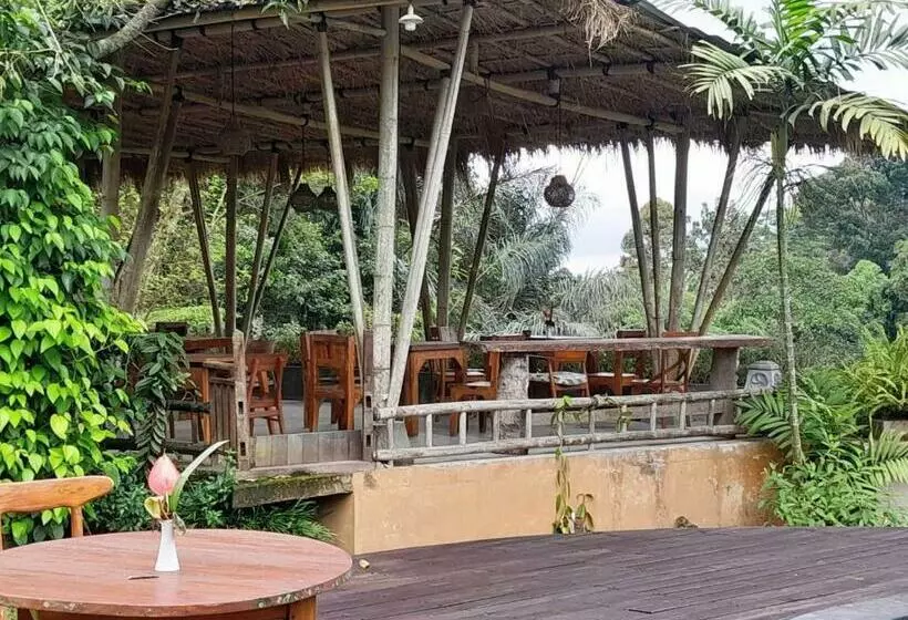 Aamiaismajoitus (B&B) Moringga Ubud