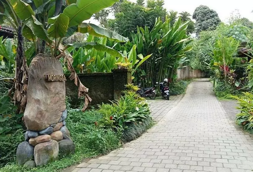 Aamiaismajoitus (B&B) Moringga Ubud