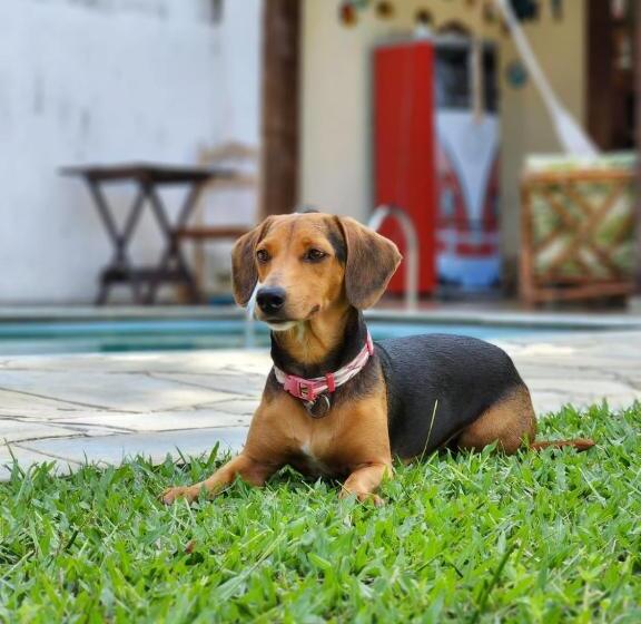 Pension Casa Da Mariajuana Hostel Tabatinga