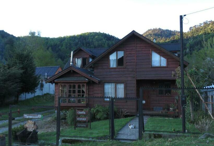 ペンション Hostal Tintica Buey Puerto Fuy