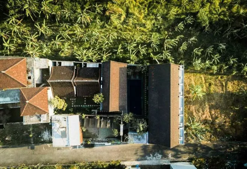 ペンション Belimbing Guest House Canggu