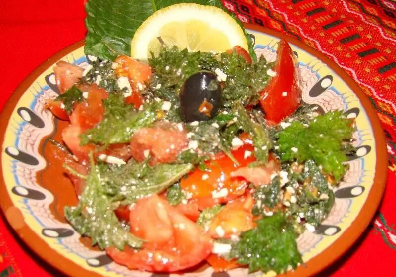 簡易ホテル Dedovite Kashti