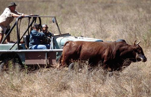 ホテル Bullo River Station
