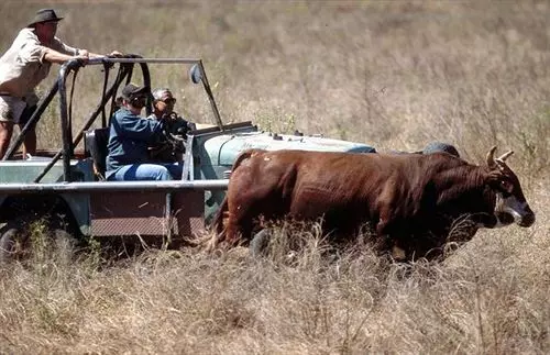ホテル Bullo River Station