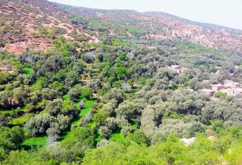 Majatalo Dar Assounfou