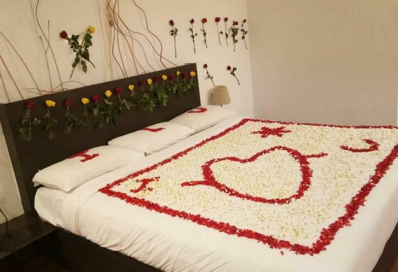 Reva Resorts And Holiday Homes