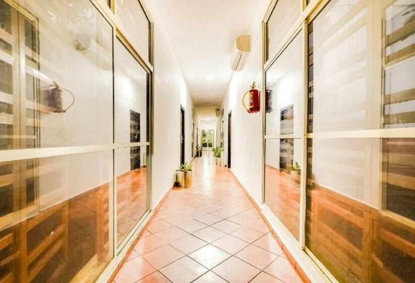 Reva Resorts And Holiday Homes