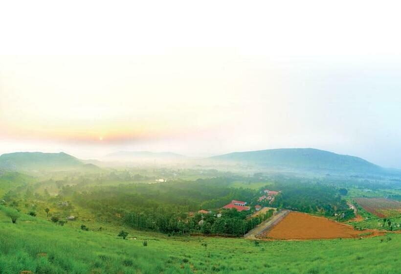 Reva Resorts And Holiday Homes