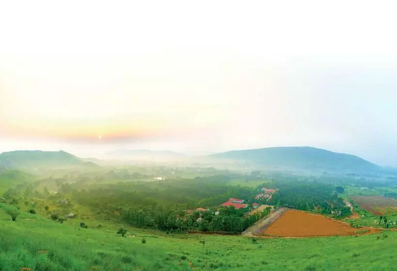 Reva Resorts And Holiday Homes