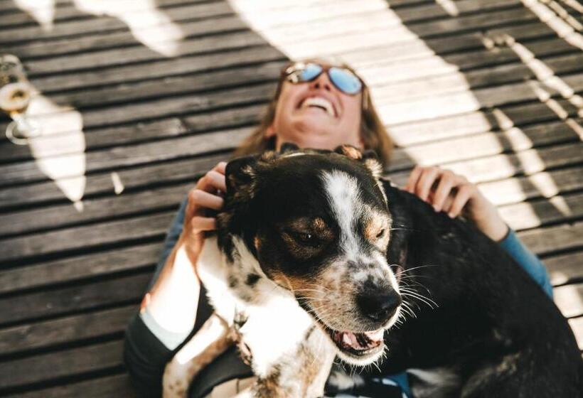 Hostel Engelberg Mein Trail Hostel