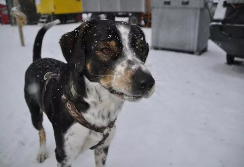 Hostel Engelberg Mein Trail Hostel