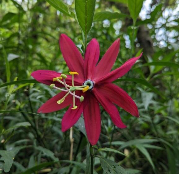 הוסטל Ayen Bienestar Ancestral