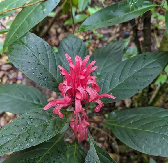 הוסטל Ayen Bienestar Ancestral