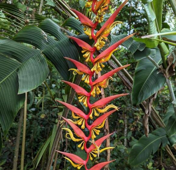 הוסטל Ayen Bienestar Ancestral